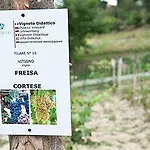 Hotel Fontana Relais &