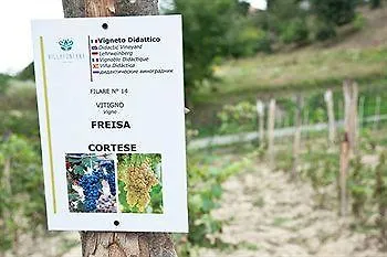 فندق Fontana Relais &